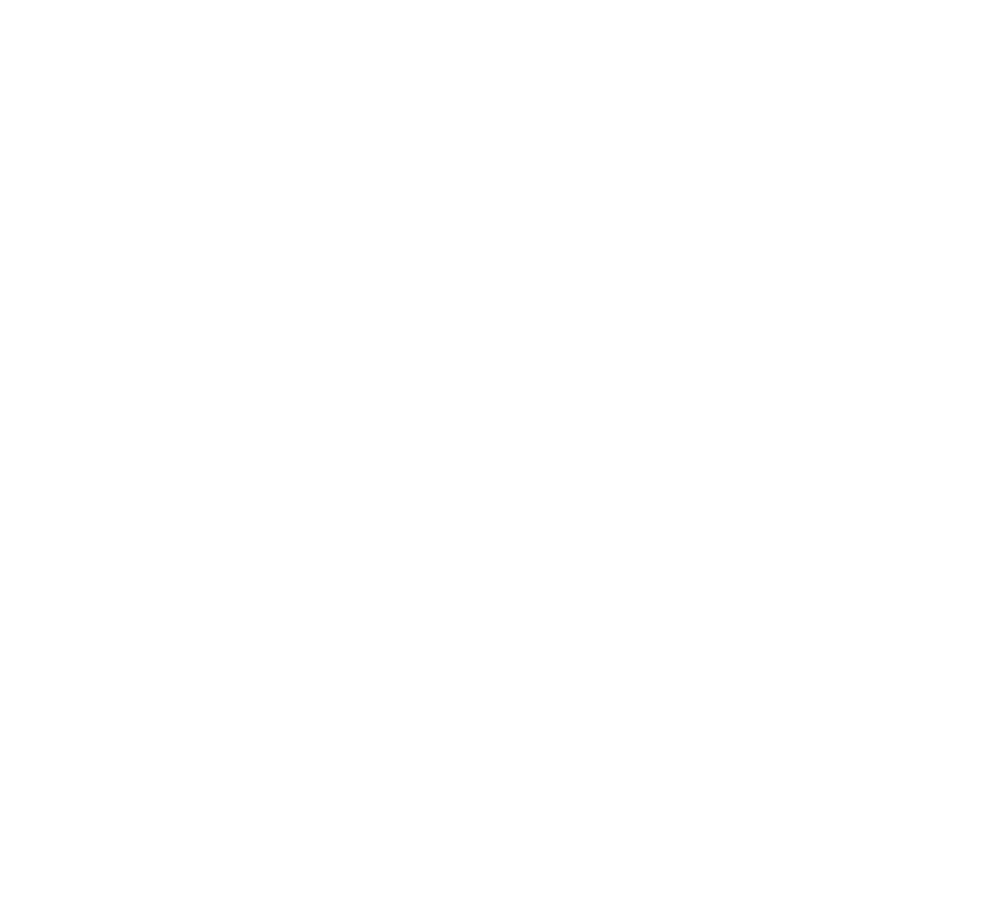 KIM Executive